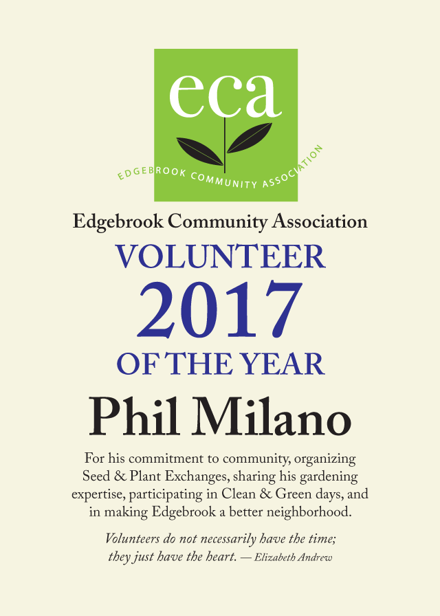 volunteer of the year photo