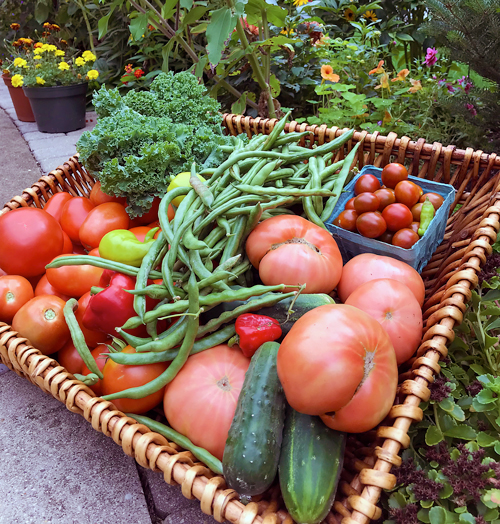 image of harvest