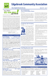 newsletter image