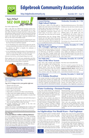 newsletter image
