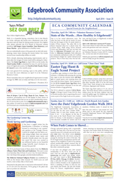 newsletter image