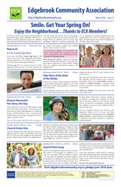 newsletter image