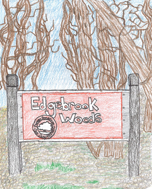 poster entry